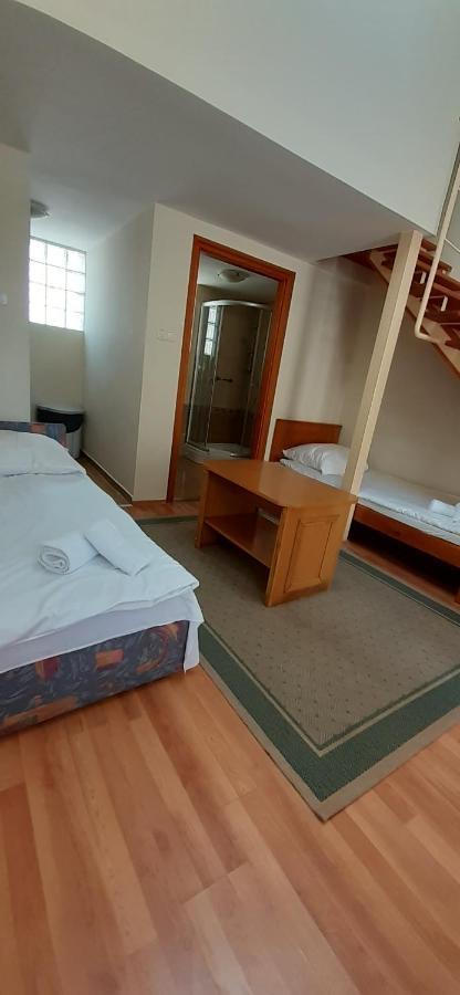 Kenguru Panzio Hotel Hodmezovasarhely Ngoại thất bức ảnh
