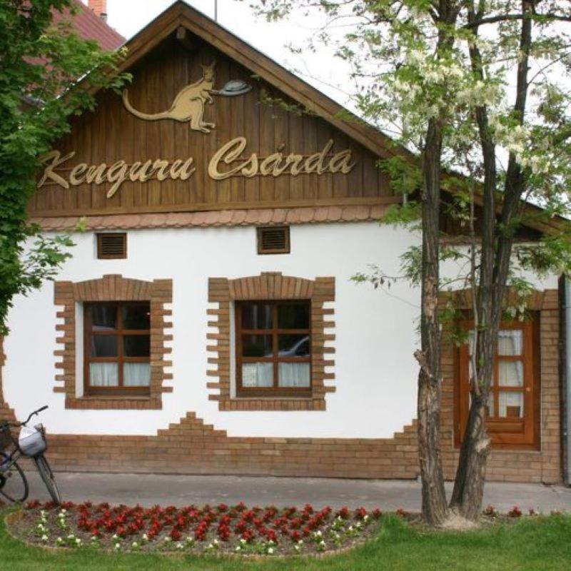 Kenguru Panzio Hotel Hodmezovasarhely Ngoại thất bức ảnh
