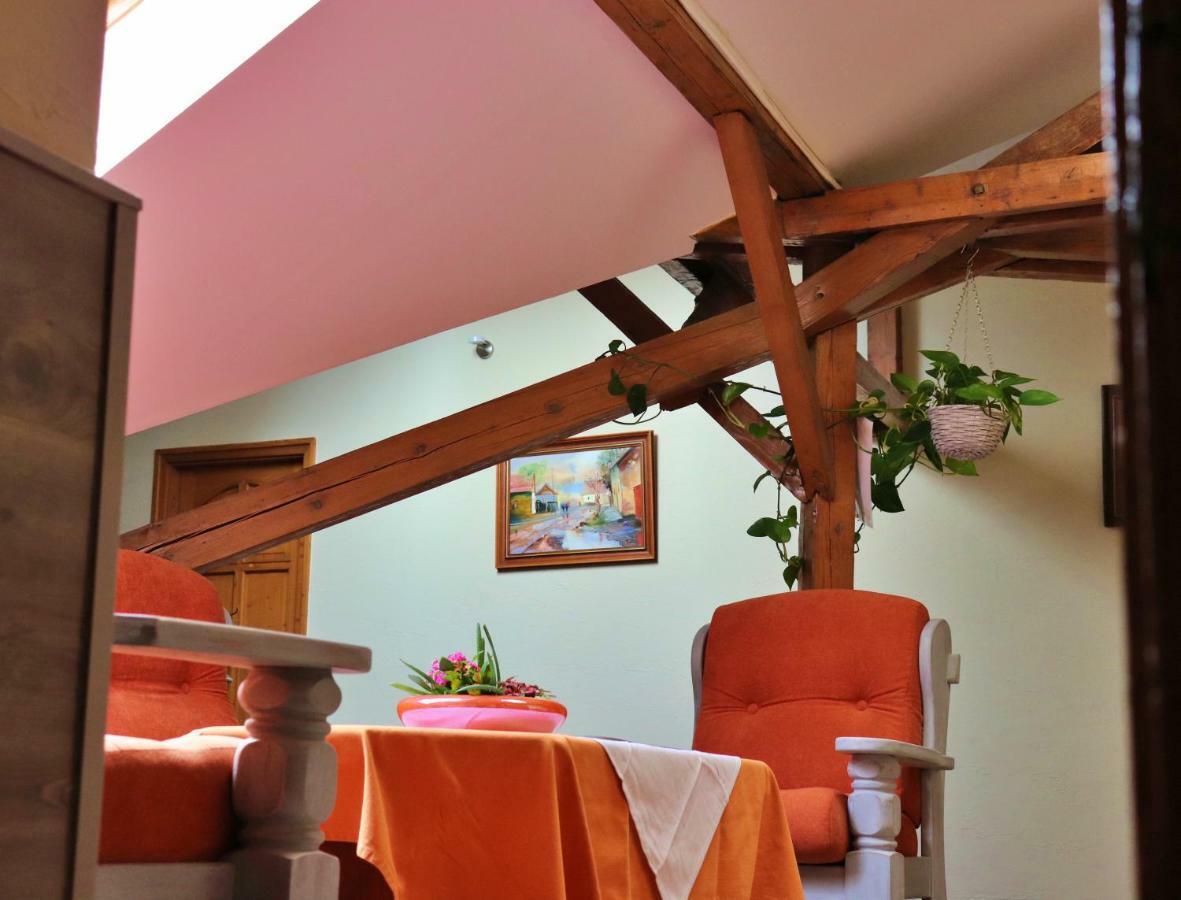 Kenguru Panzio Hotel Hodmezovasarhely Ngoại thất bức ảnh